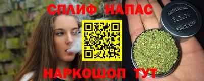 спиды Новокубанск