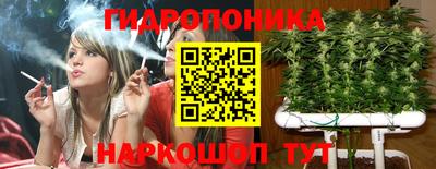 марки lsd Новозыбков