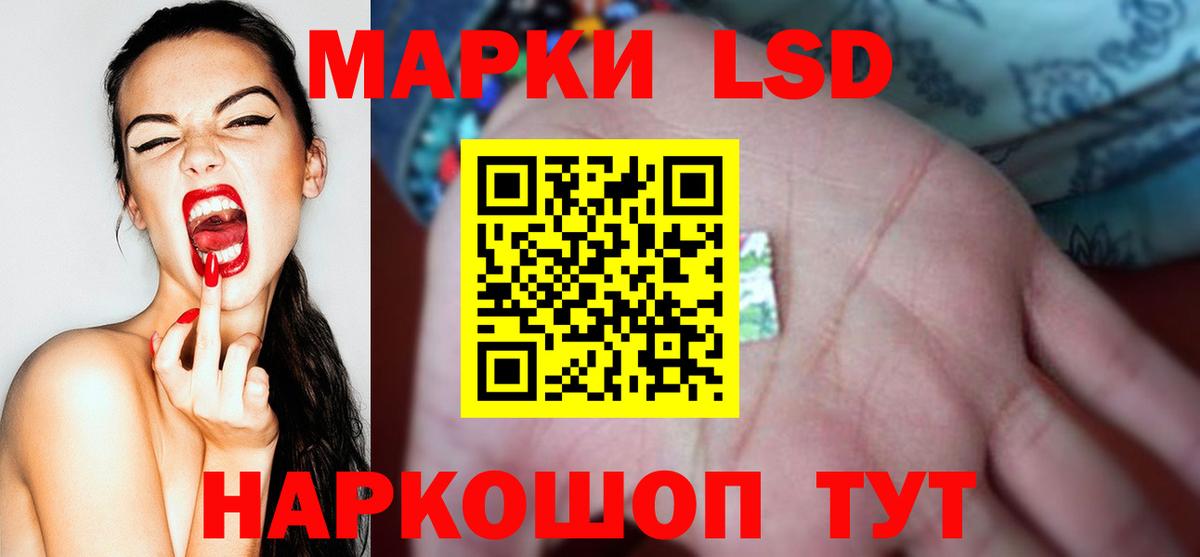 Сунжа  Лсд 25 экстази кислота  Вход с VPN 
