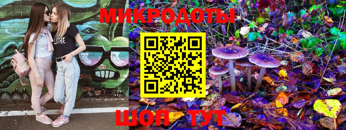 Псилоцибиновые грибы Cubensis  Вход с VPN  Сунжа 