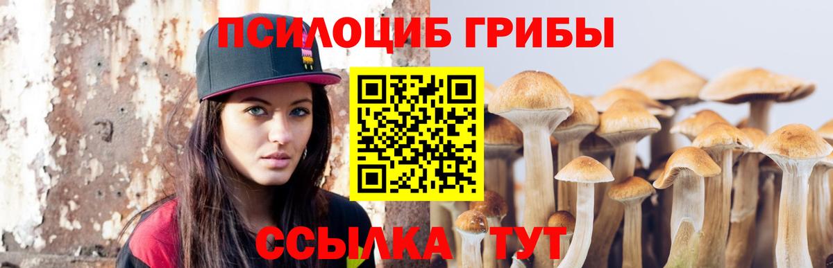 Галлюциногенные грибы Psilocybine cubensis Сунжа